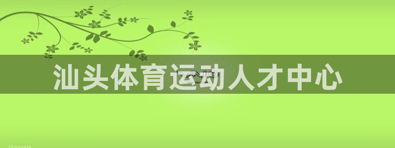 3377体育官方正版app代理：汕头体育运动人才中心