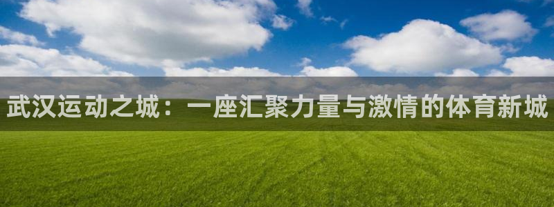3377体育官方正版app集团简介：武汉运动之城：一座汇聚力