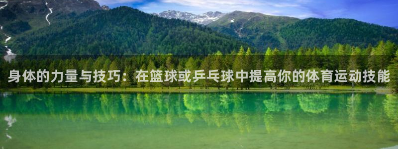 3377体育官网下载注册：身体的力量与技巧：在篮球或