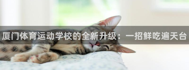 3377体育官网下载平台假的吗是真的吗：厦门体育运动
