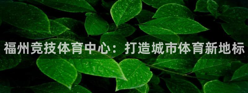3377体育官网下载平台注册流程图：福州竞技体育中心