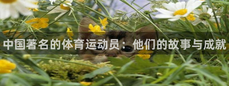 3377体育官方正版app代理：中国著名的体育运动员