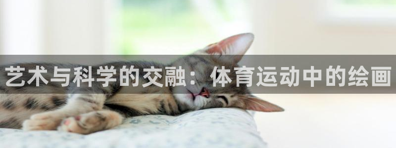 3377体育官网下载平台：艺术与科学的交融：体育运动中的绘画