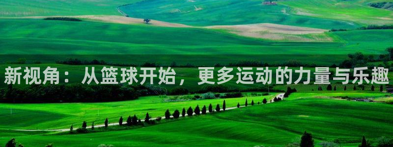 3377体育官网下载平台是正规平台吗安全吗：新视角：从篮球开