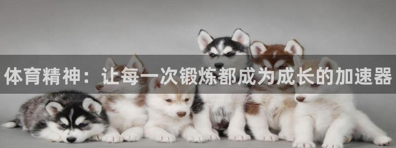德国3377体育官方正版app集团：体育精神：让每一次锻炼都