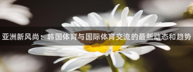 3377体育官网下载平台APP：亚洲新风尚：韩国体育与国际体