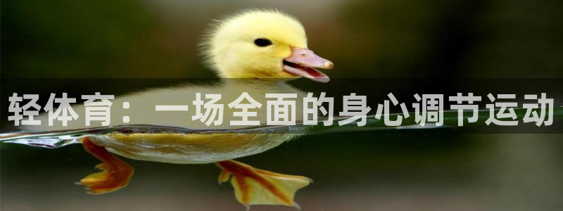 3377体育官方正版app神州：轻体育：一场全面的身心调节运