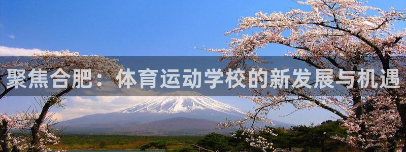 3377体育官网下载招商电话是多少