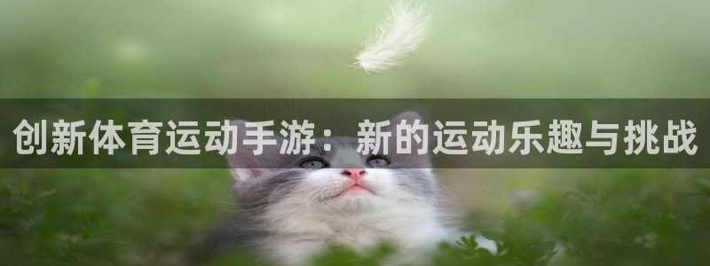 3377体育官网下载招商电话是多少啊：创新体育运动手游：新的
