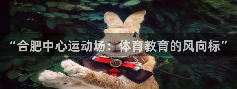 德国3377体育官方正版app集团：“合肥中心运动场：体育教