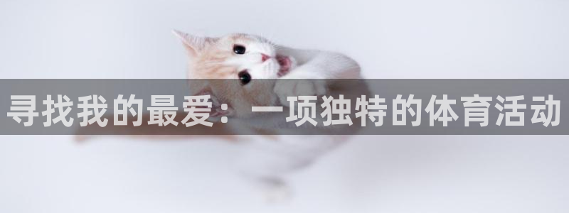 3377体育官网下载招商电话号码是多少号：寻找我的最爱：一项