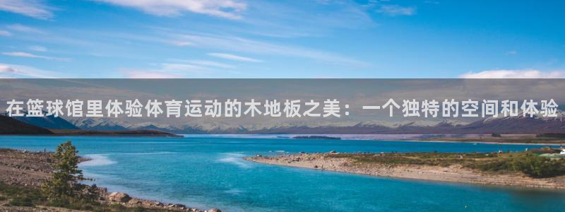 3377体育官网下载招商电话：在篮球馆里体验体育运动的木地板