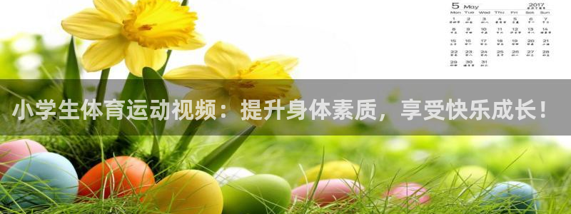 3377体育官方正版app集团简介：小学生体育运动视
