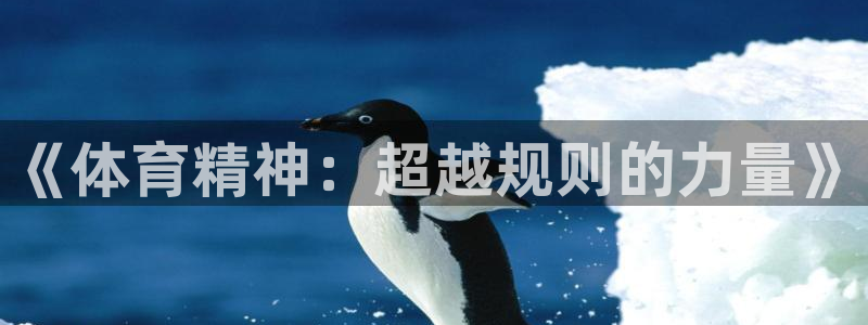 3377体育官方正版app娱乐40996：《体育精神：超越规