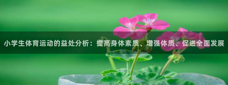 3377体育官方正版app集团E.ON