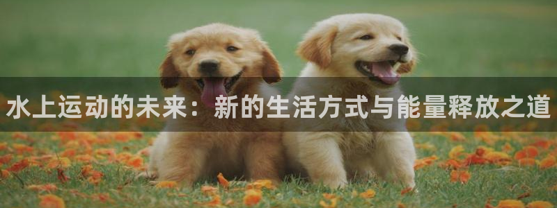 3377体育官方正版app娱乐：水上运动的未来：新的生活方式