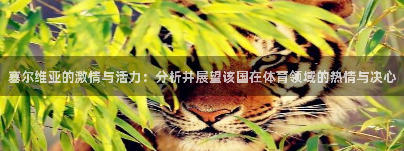 德国3377体育官方正版app集团：塞尔维亚的激情与活力：分