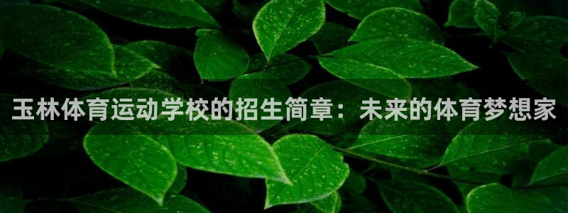3377体育官方正版app集团E.ON：玉林体育运动学校的招