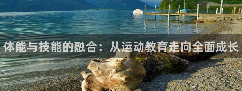 3377体育官方正版app集团官网网址：体能与技能的