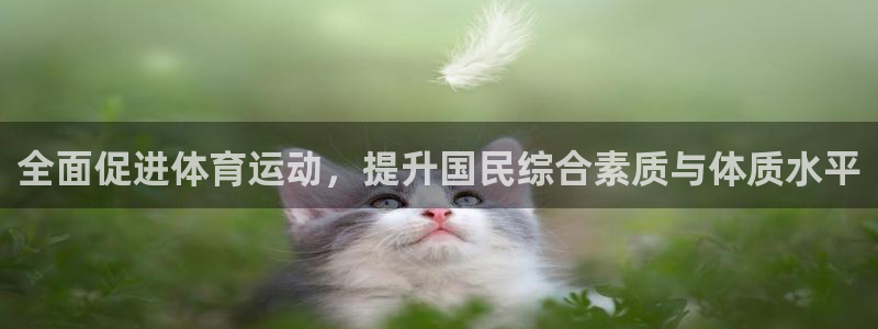 3377体育官网下载招商电话地址查询:全面促进体育运动,提升