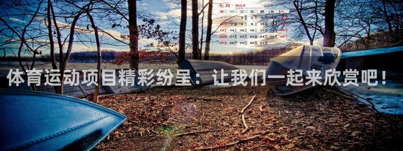 3377体育官网下载招商电话：体育运动项目精彩纷呈：让我们一